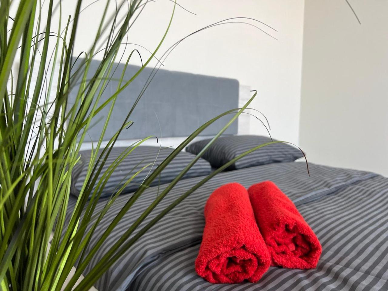 Apartment Апартаменти